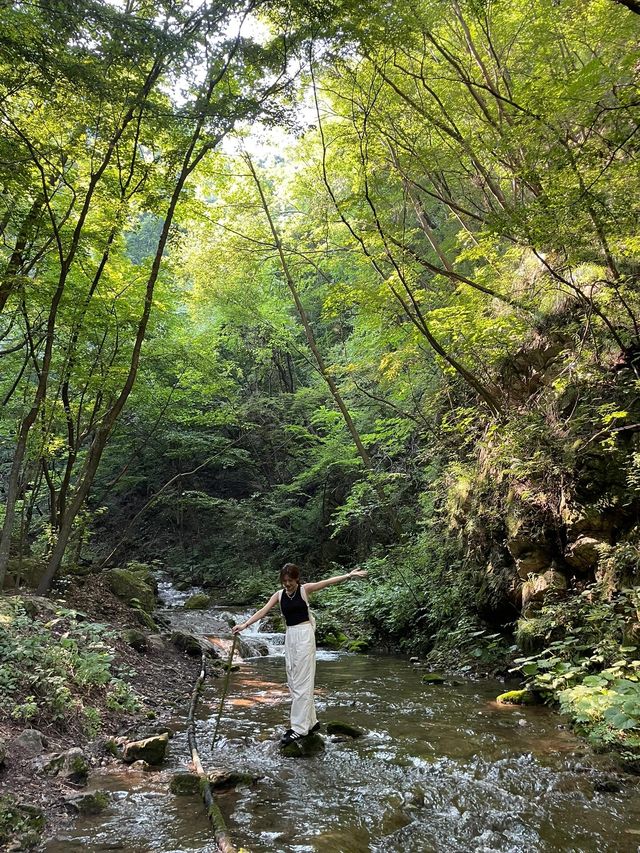 欒川重渡溝 主打一個冰鎮清涼｜洛陽周邊遊