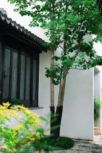 搬入平江路百年老宅，先算真正住過蘇州！