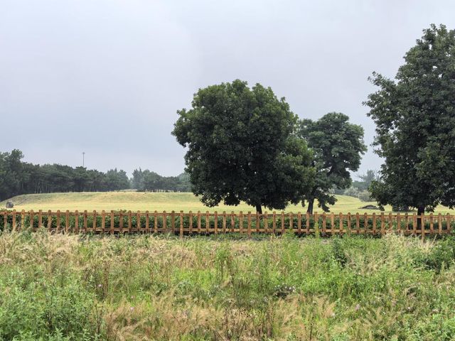 煙雨圓明園：江南韻與歷史愁