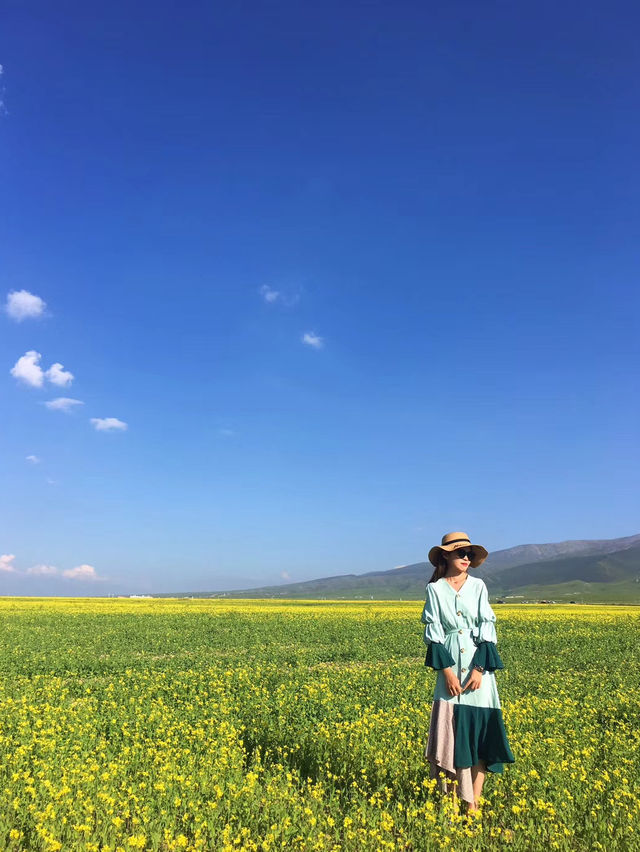青海湖油菜花旅遊攻略｜邂逅金黃花海