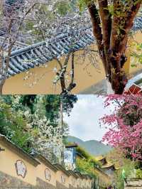 保山，邊陲小城，千年古鎮—保山