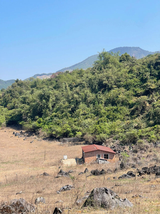 清遠牛湖線徒步攻略：探秘喀斯特地貌嘅奇幻之旅