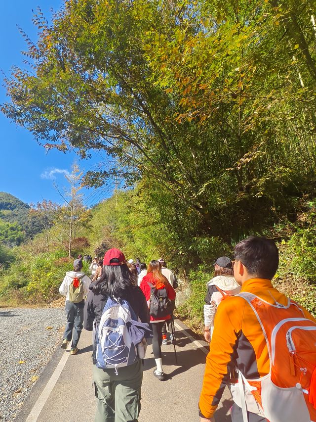 上海一日往返莫干山徒步～～打卡天然氧吧