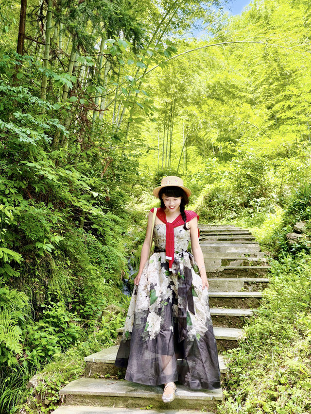 木坑竹海｜綠浪翻湧間，邂逅山野治癒力