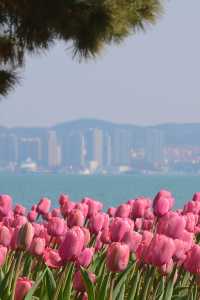 韓系海濱小城，威海3日2夜保姆級攻略