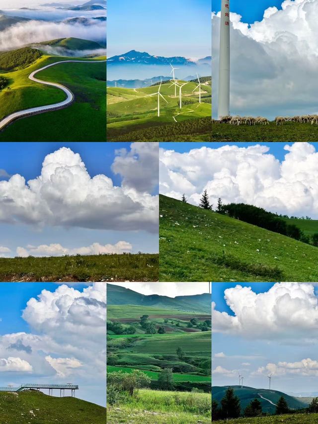 一腳油門衝上雲端！百里天路自駕全攻略