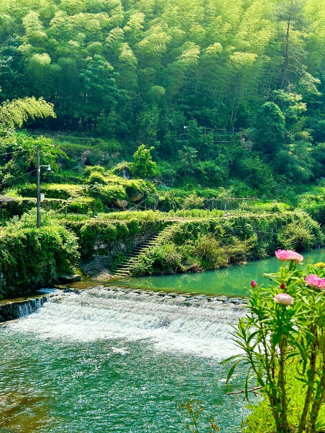 桐廬馬嶺古道：穿越時光的詩意之旅