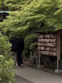 東京の幸運を呼ぶ猫寺「豪徳寺」の魅力】**  