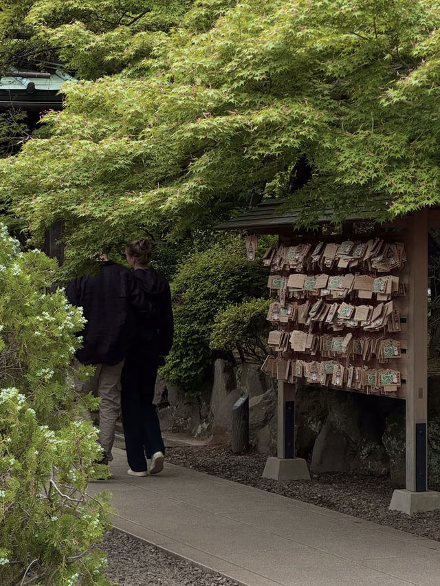 東京の幸運を呼ぶ猫寺「豪徳寺」の魅力】**  