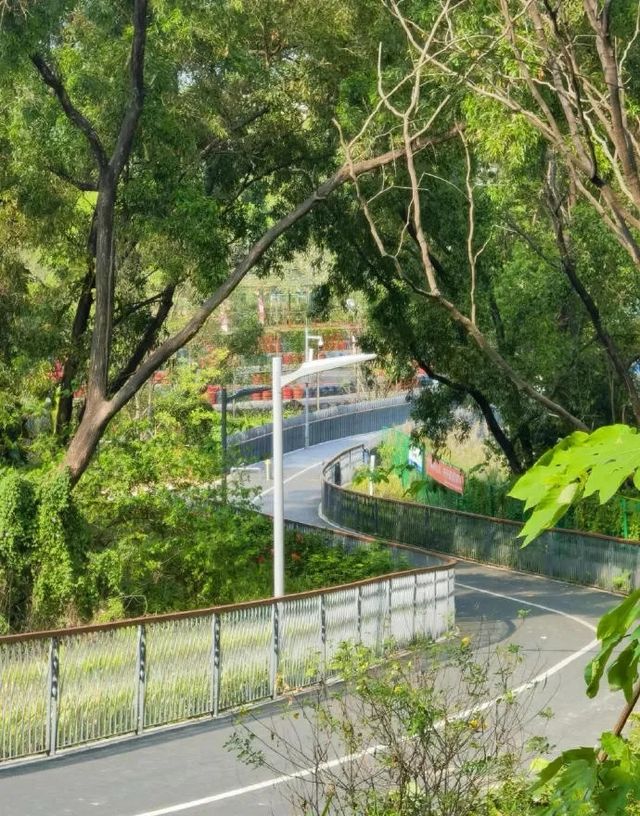 深圳小眾秘境，龍華新開免費環湖綠道！