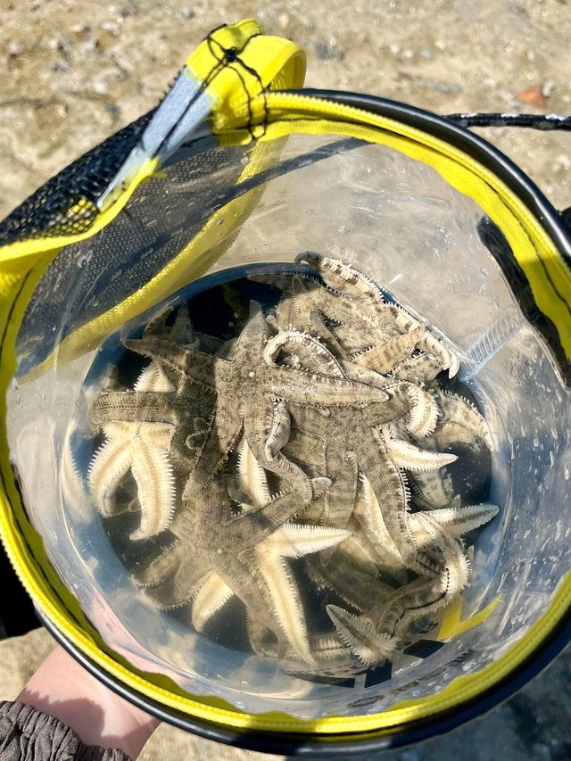 被三亞人收埋嘅陵水｜帶娃闖入「玻璃海童話」