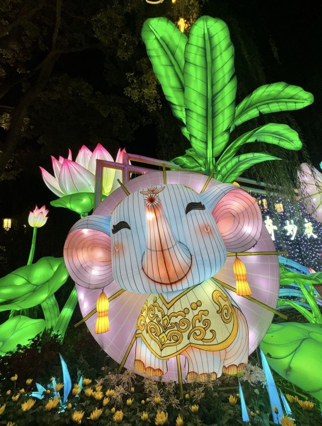 阿詩瑪代表雲南歡迎你