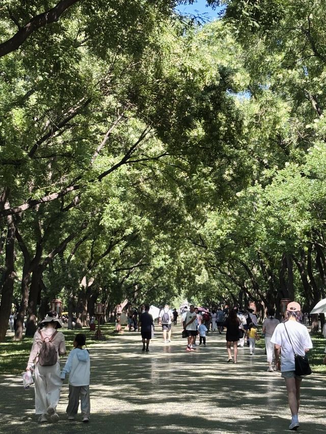 天壇西天門的林蔭道，好美