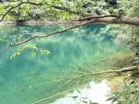 上海出發週末2日1夜玩桐廬｜大奇山必衝馬嶺古道勸退