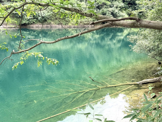 上海出發週末2日1夜玩桐廬｜大奇山必衝馬嶺古道勸退