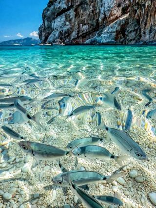 This really isn’t the Maldives; it’s a glass sea island open only to Chinese citizens