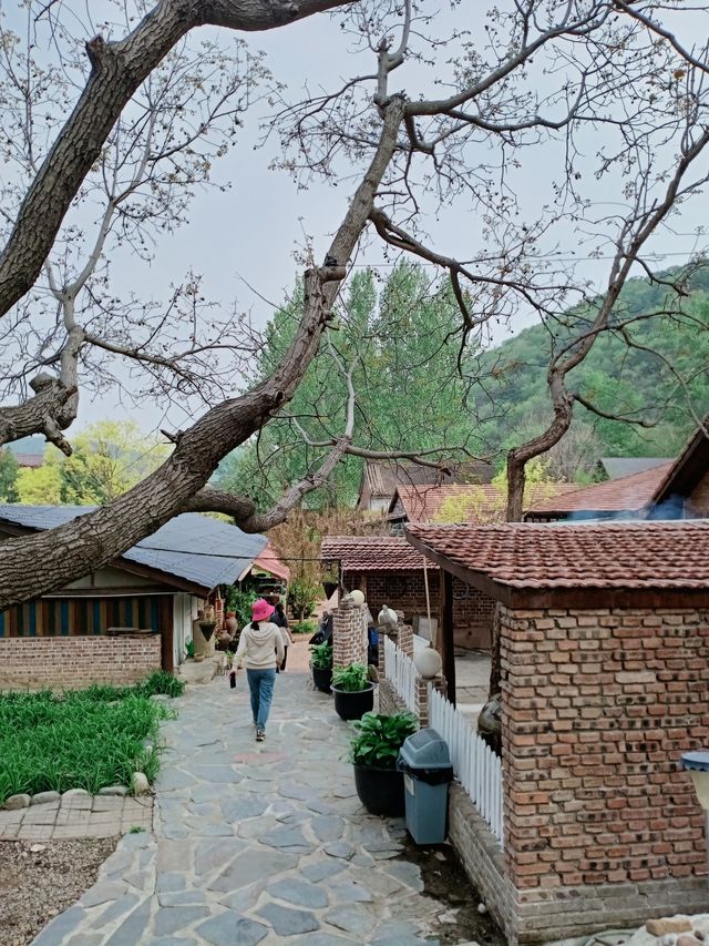 週末嚟郊遊啦，復活節快樂