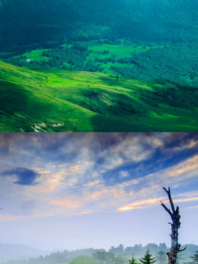 長白山已回真係正～～