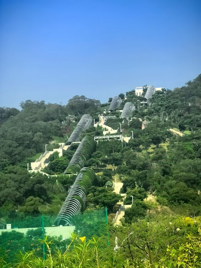 【網紅出片版】 "喺廈門影咗100G相，呢5個場景封神咗！ 植物園多肉區（9:00