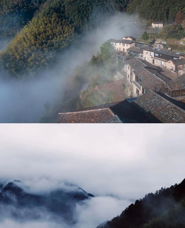 山耶雲耶松陽雲端民宿
