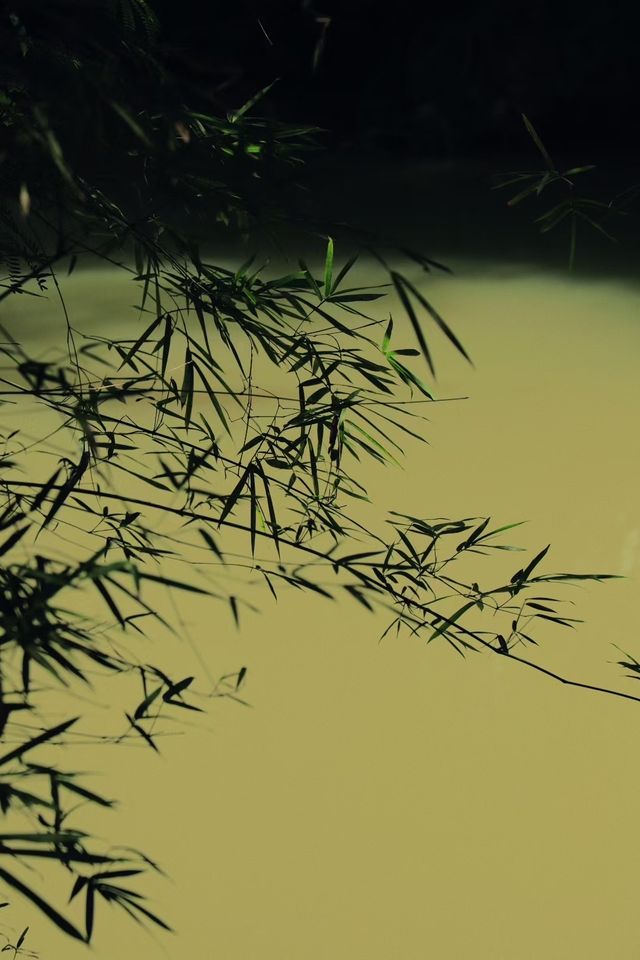 你們知道這是哪裡嘛？柳州呀……