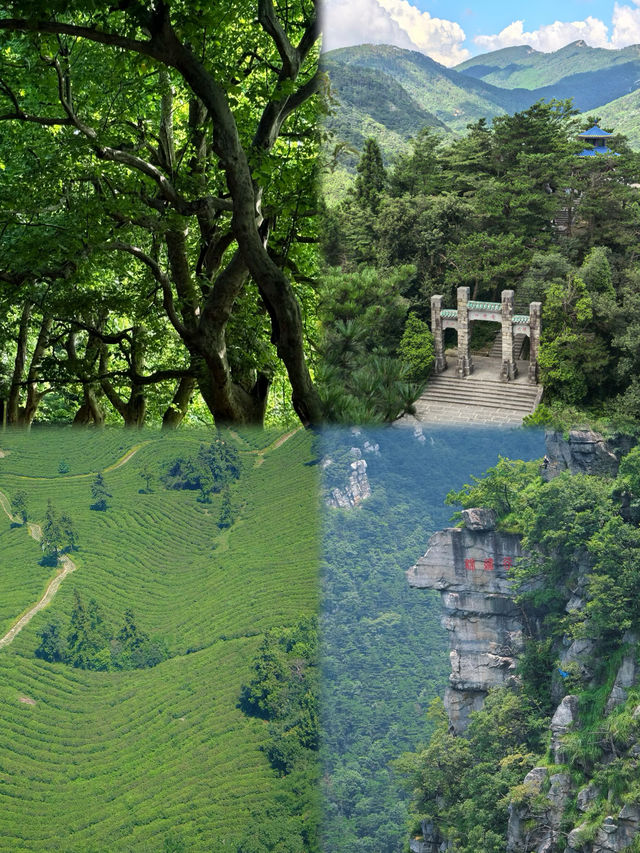 廬山旅遊攻略｜人均600玩轉“人文聖山”！