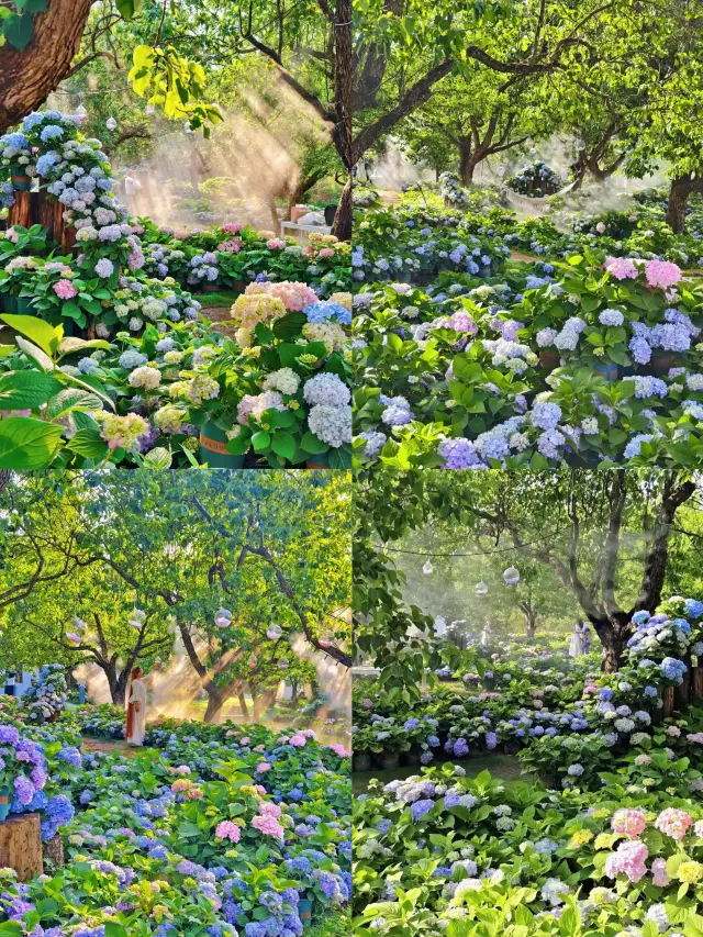 For this moment, I’m willing to come to Kunming 100,000 more times!!!