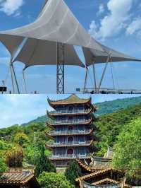 海陽已回，說點難聽的大實話