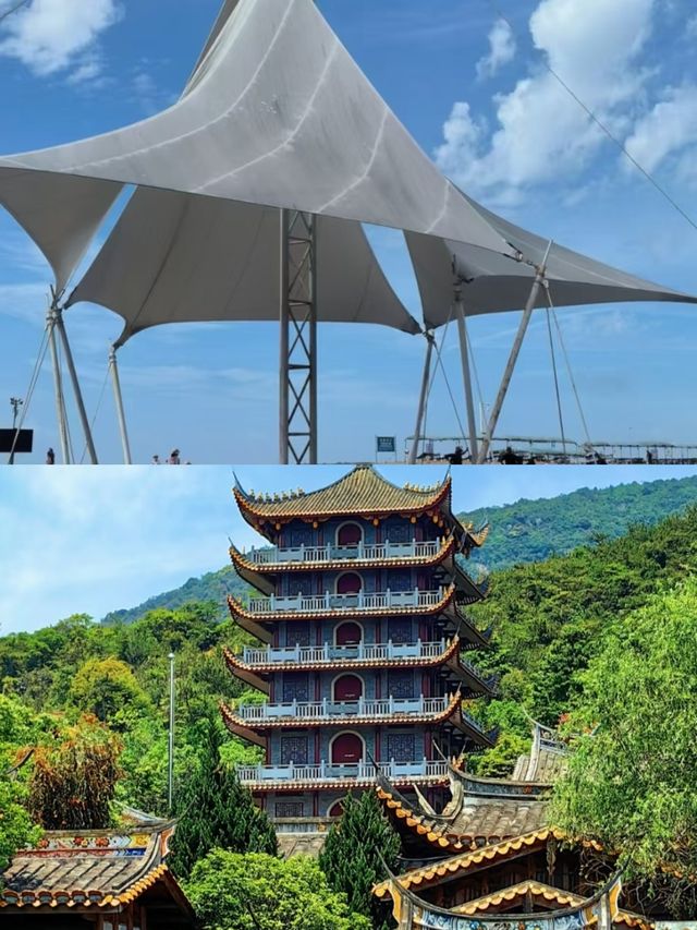 海陽已回，說點難聽的大實話