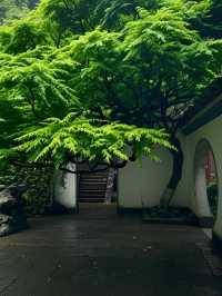 杭州親子遊|低成本帶娃玩轉 8 個寶藏地!不費錢還出片
