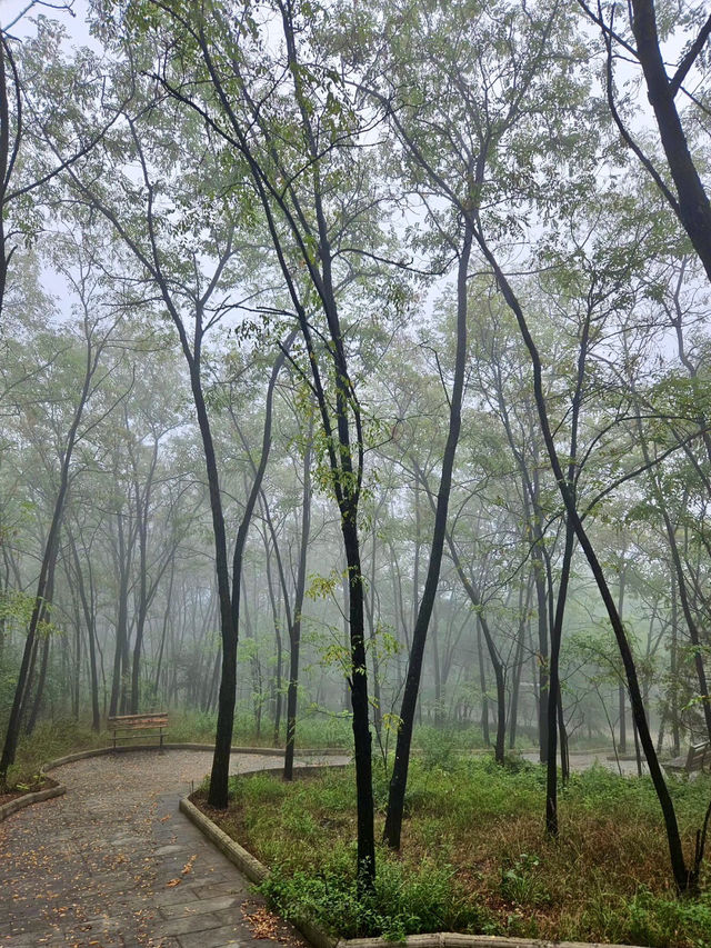 蒼山疊翠，野趣無窮 —— 野河山景區