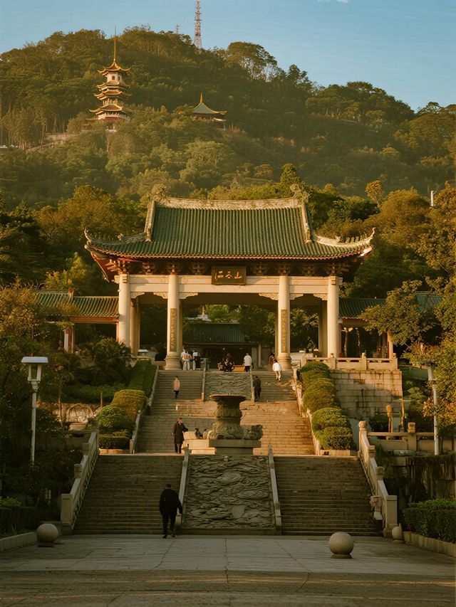 親子遊必衝！白雲山 20 分鐘徒步看日出雲海