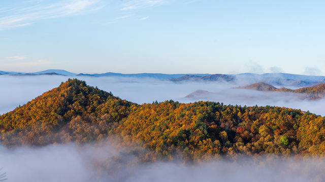 綠野仙蹤金林號景區直通車開通 綠野仙蹤金林號景區直通車開通