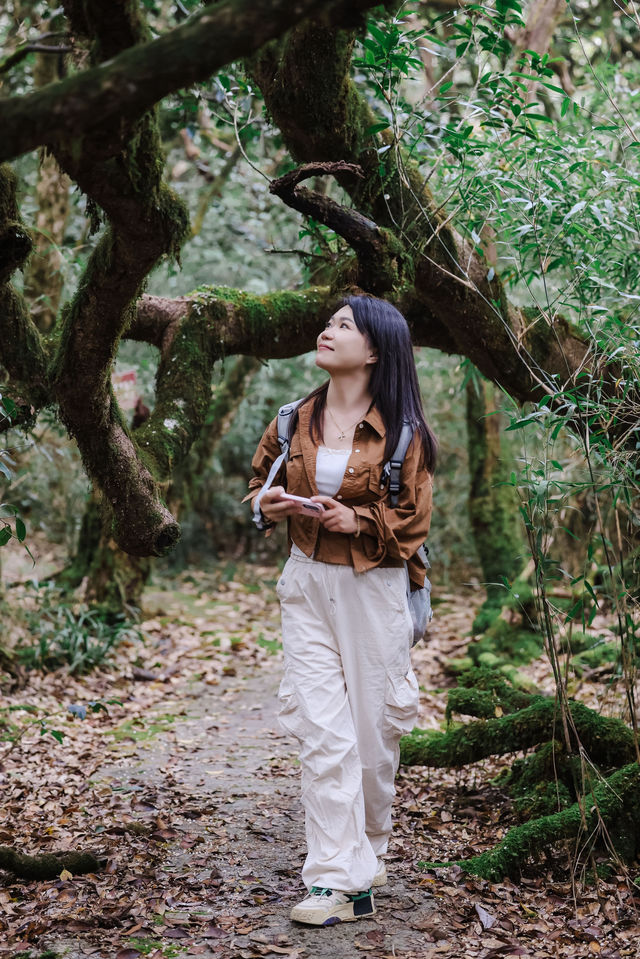 因為一張照片，我來到了這個小眾秘境「貓兒山」