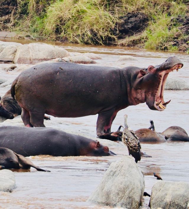 Unforgettable Tanzanian Journey