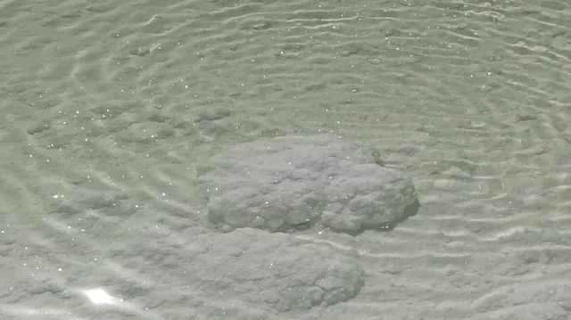 打卡察爾汗鹽湖，攜程購票更方便