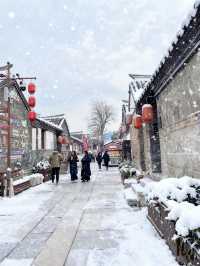 七日赴雪約：煙台與威海的冬日私語