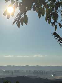 住進藝術裡｜虎峰山界外美術館民宿，藏在山野的美學秘境
