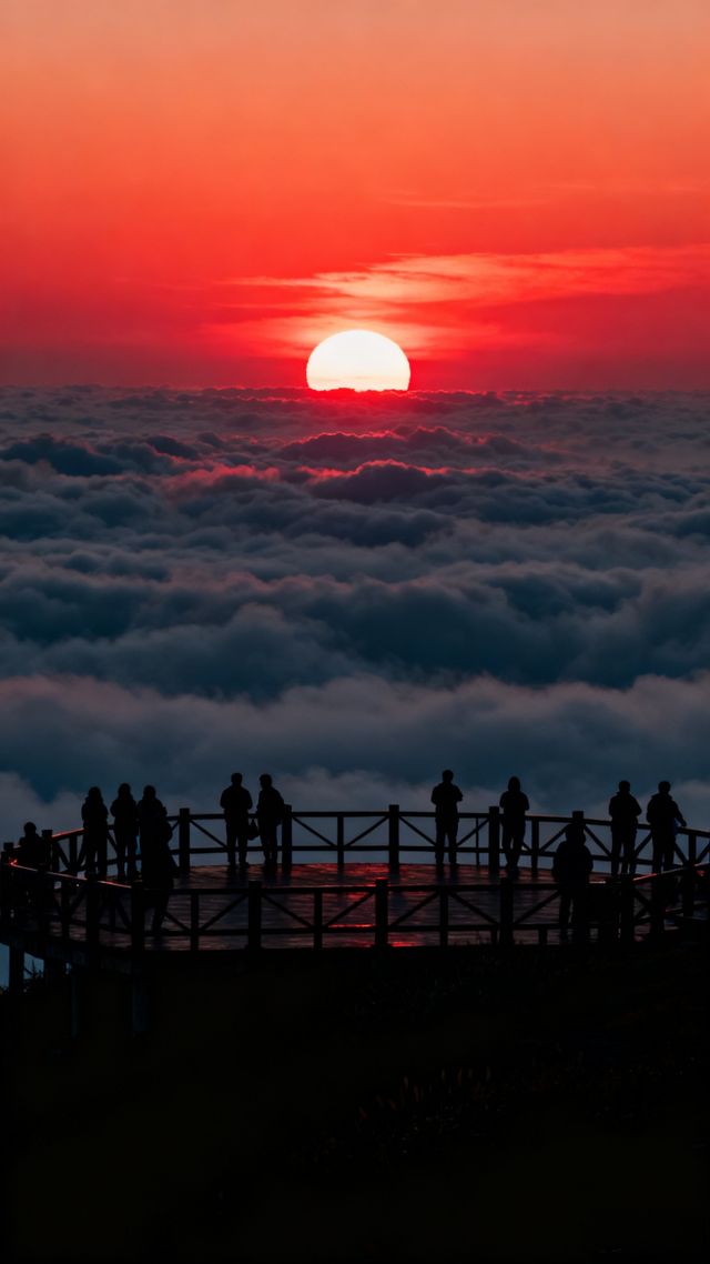 覽奇松雲海，訪水墨宏村