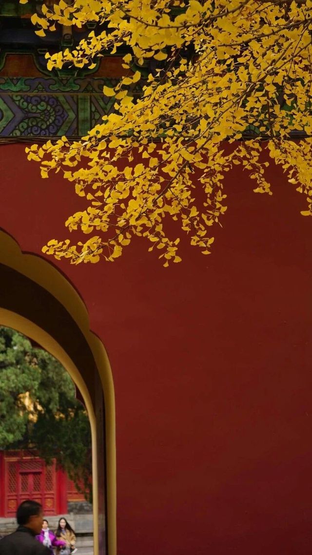 北平的秋