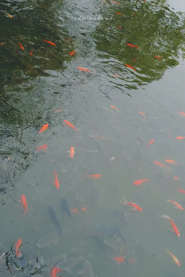 建水十七孔橋