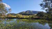 箱根濕生花園 —— 低調、但不可錯過的地方