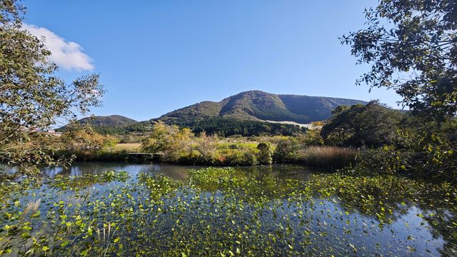 箱根濕生花園 —— 低調、但不可錯過的地方