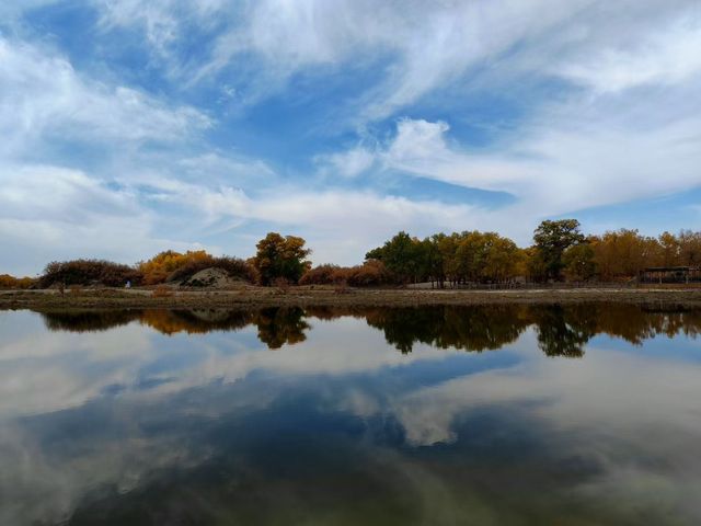 走進額濟納旗胡楊林，才算讀懂秋天的極致浪漫