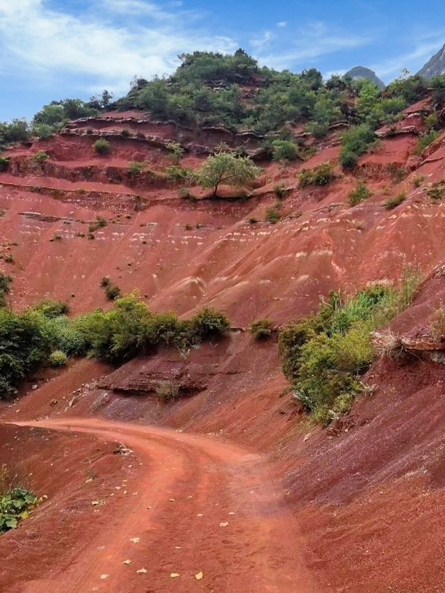 山西聖王坪徒步,高山草甸與丹霞的親子奇遇 山西聖王坪徒步,高山草甸與丹霞的親子奇遇