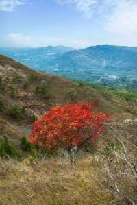 屬於臨沂人獨有的深秋限定|龍頭崮紅葉谷