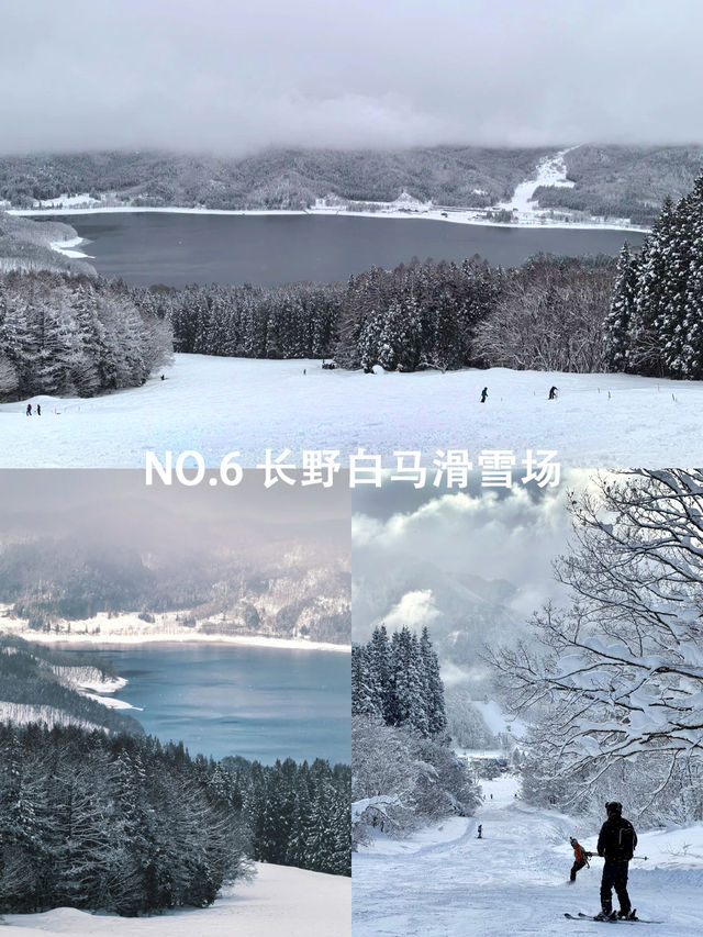 日本十大粉雪攻略保姆級教程一鍵對比 日本十大粉雪攻略保姆級教程一鍵對比