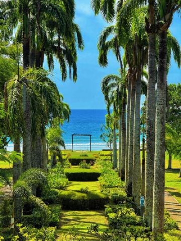 Rainforest on the left, ocean on the right! In Kota Kinabalu, I found what paradise looks like!