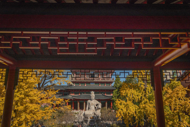 南京秋天毗盧寺拍照打卡,真的很美這裡。 南京秋天毗盧寺拍照打卡,真的很美這裡。