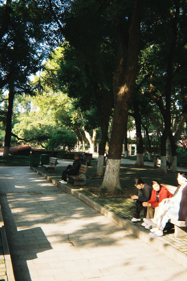 秋意裡的公園敘事:時光在此溫柔皺摺🪴 秋意裡的公園敘事:時光在此溫柔皺摺🪴